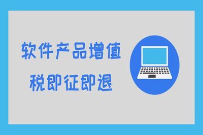 哪些項目可享受即征即退?