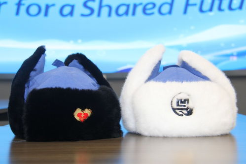 急救冬帽 溫暖瑞士記者 文創產品展冬奧延慶魅力