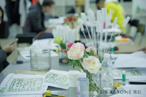 2019年,你完成的最后一件事是什么