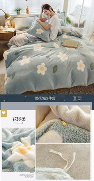 朵西娜 ba版雪花絨四件套冬季加厚保暖雙面絨被套珊瑚絨床單人三件套床上用品